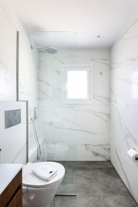Blue Delta Apartment Palaio Faliro Athènes Extérieur photo
